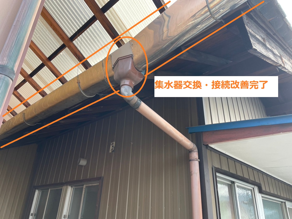 雨樋補修5